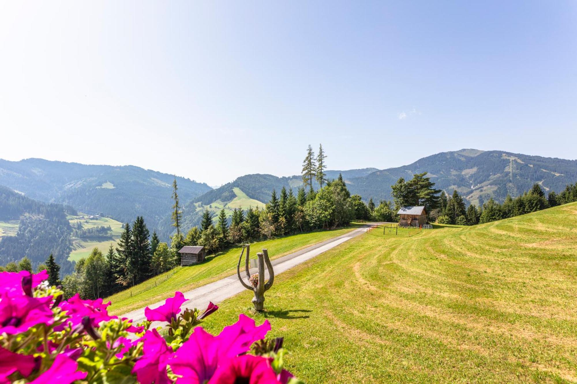 Landhaus Hochkoenig มึลบาค อัม โฮคเคอนิก ภายนอก รูปภาพ